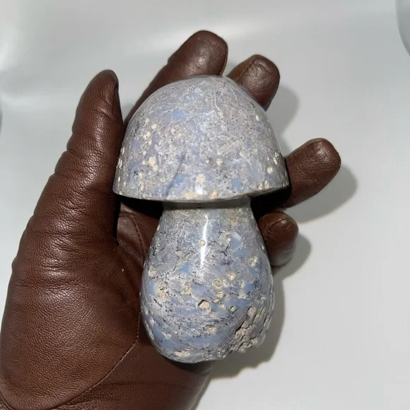 ❤️‍🔥HP❤️‍🔥 Ocean Jasper carved Mushroom B. - Picture 5 of 12